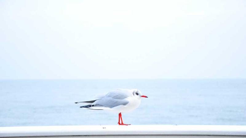 Vintage & Modern Blend