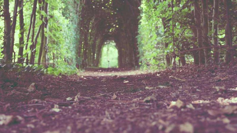 Weekend Project Complete