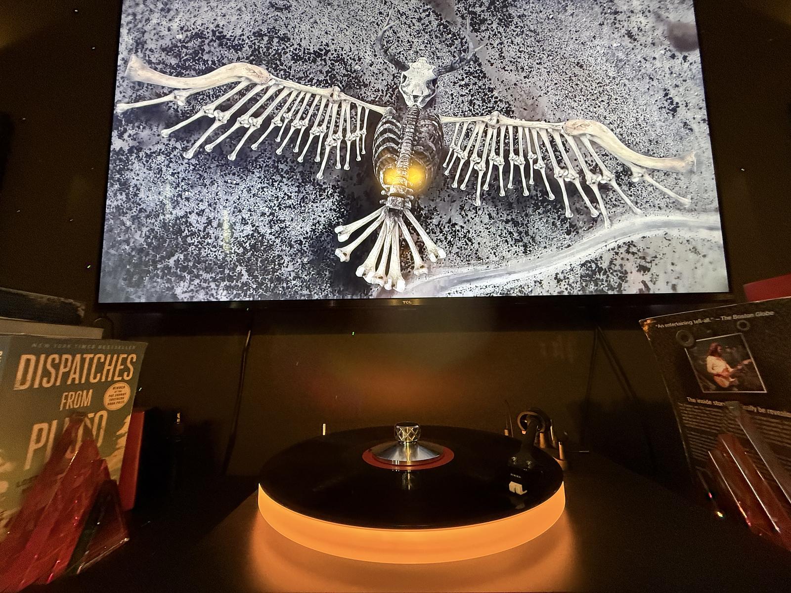 Home of the Evening Spin - Photo 8